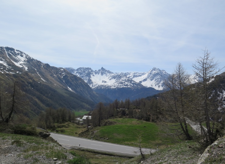 Blick vom Berninapass